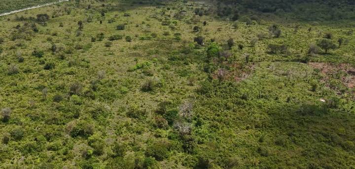 Terreno en Punta Cana, República Dominicana